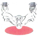 Original Catalog Image